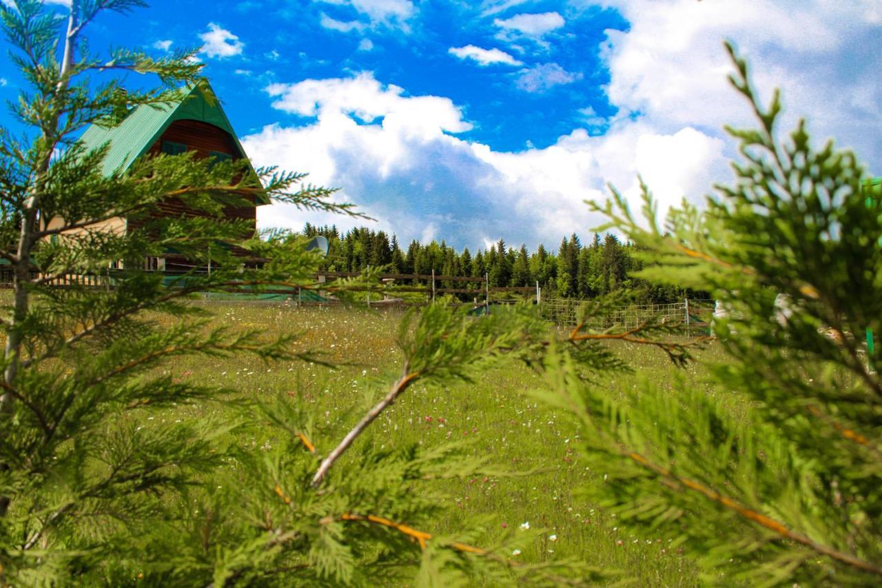 Vikendica Anja Villa Žabljak Buitenkant foto