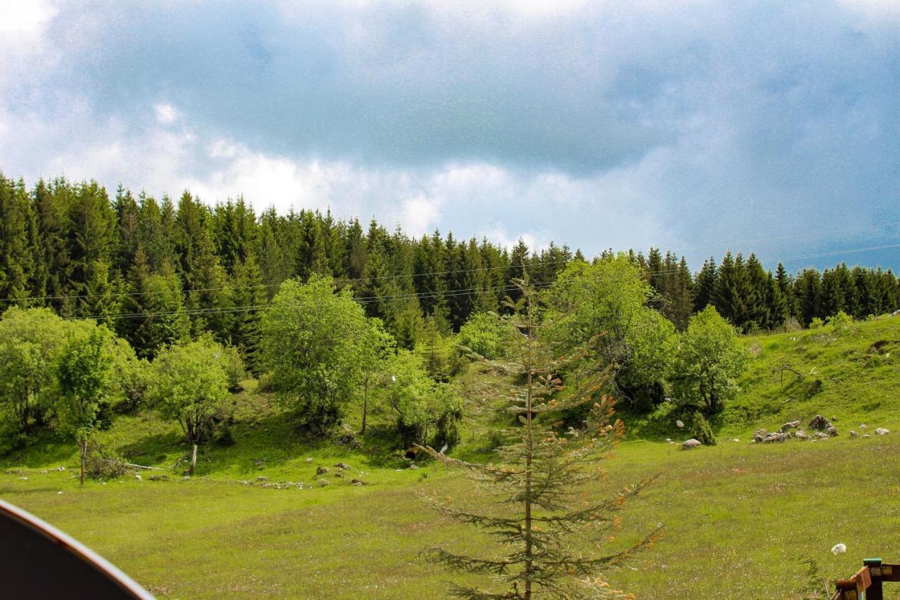 Vikendica Anja Villa Žabljak Buitenkant foto